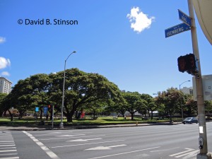 A view of a park near a main road