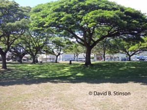 The former location of Honolulu Stadium infield
