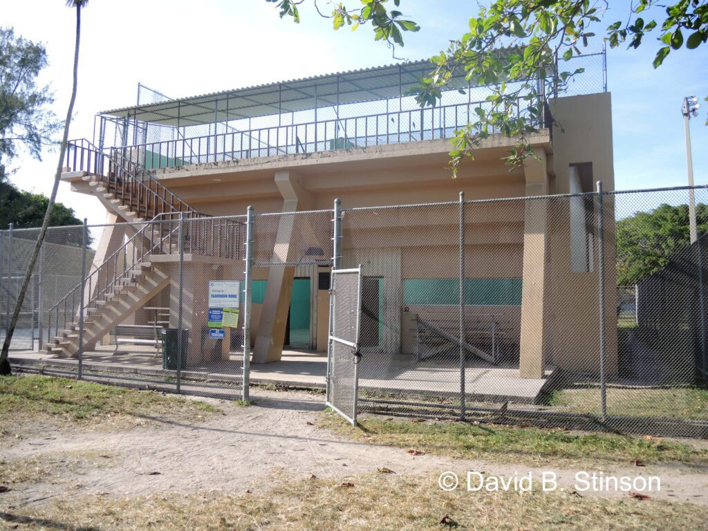 Flamingo Park viewing platform