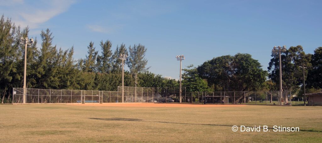 The open field of the Flamingo Park