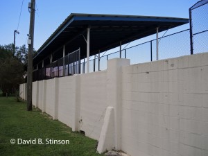 The Ocala Limerock fence