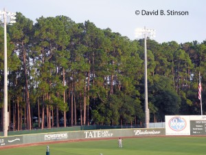 The Carolina pines left field at Grayson Stadium