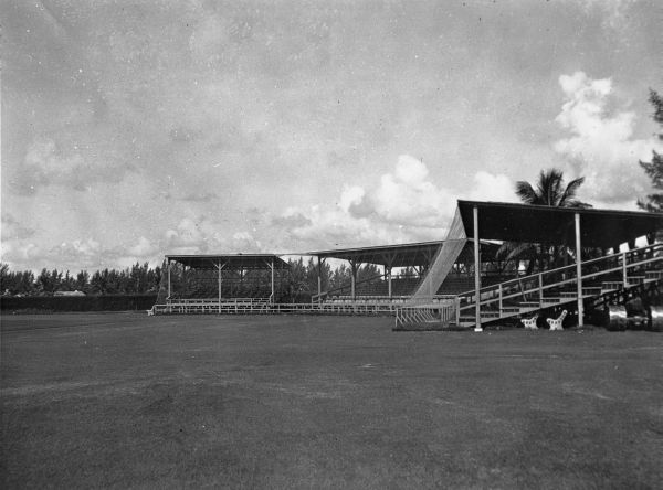 A black and white image of the Flamingo Field