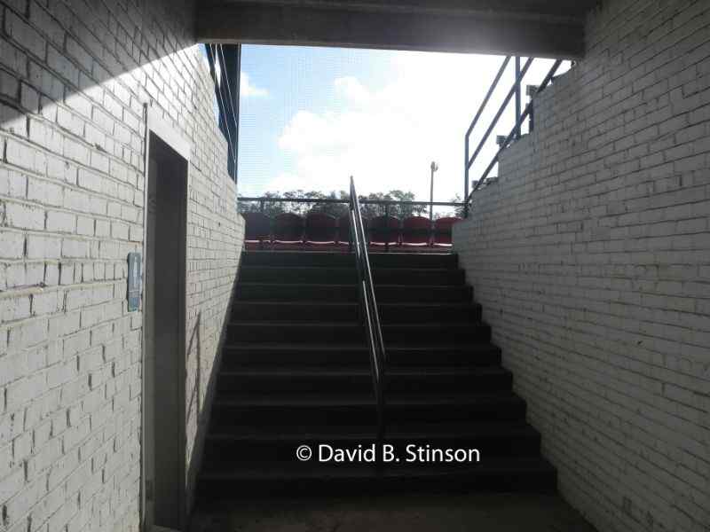 Stairs leading to the viewing deck of the J.P. Small Memorial Park