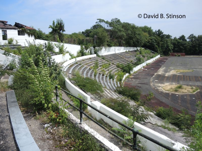 A Hinchliffe Stadium stands overgrown with foliage