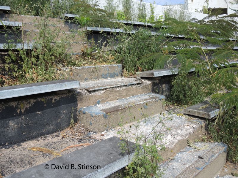 Worn down Hinchliffe Stadium stairs and seats