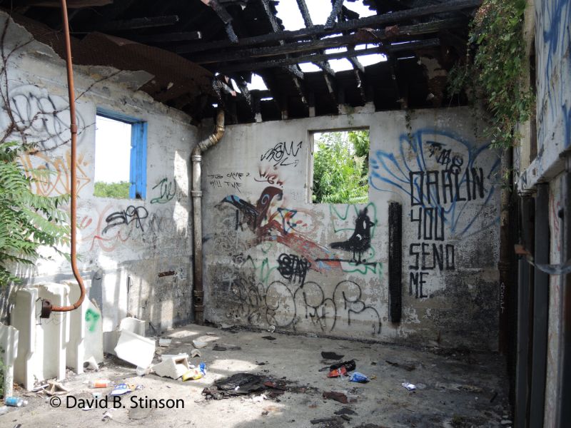 Vandalisms on the walls of a Hinchliffe Stadium building