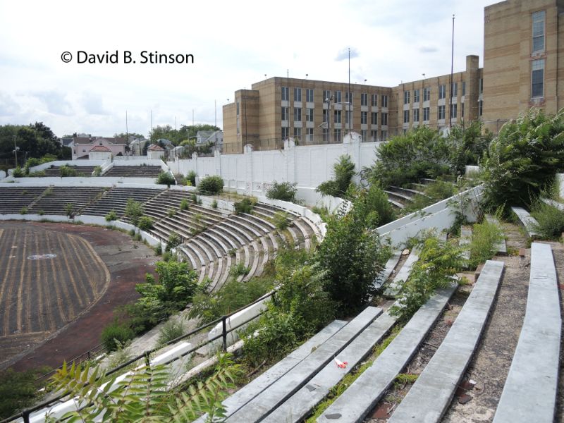 Hinchliffe Stadium overgrown with plants