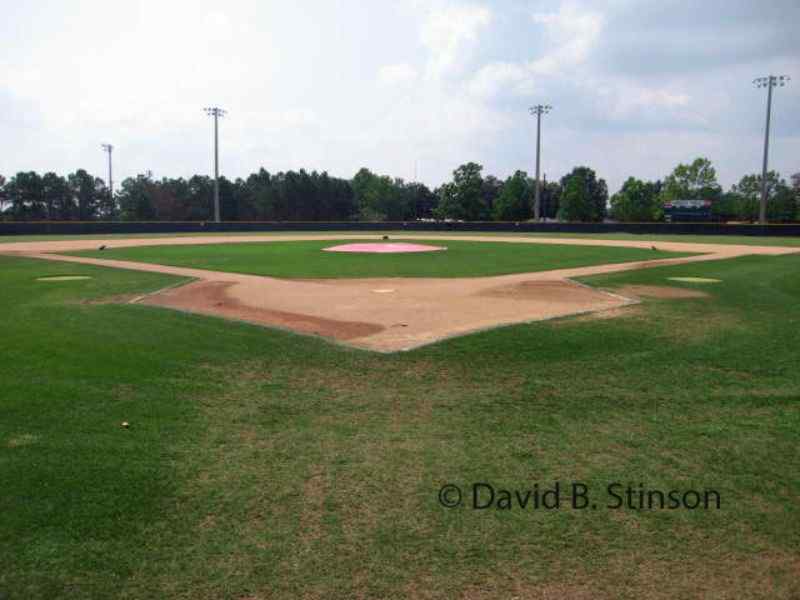 The open Henley Field playing area