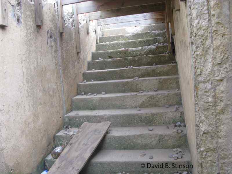 A ruined staircase of a stadium