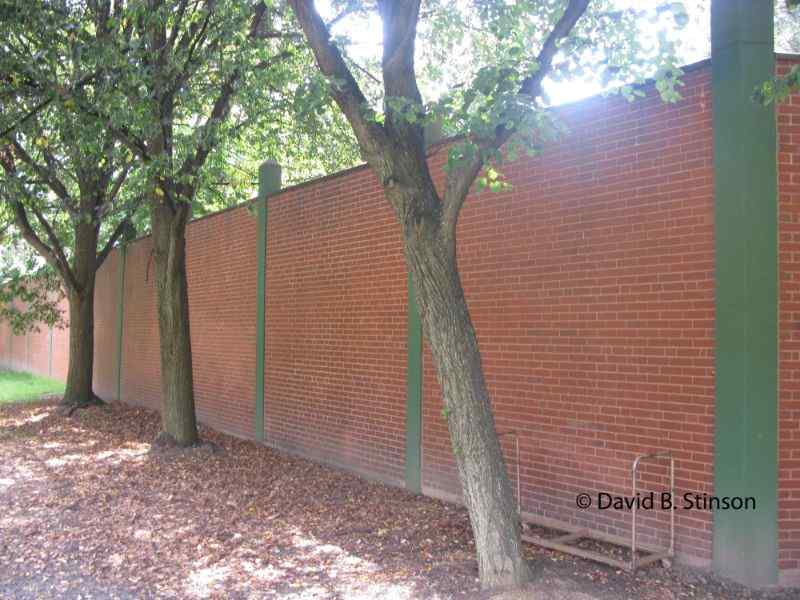 Trees near the brick wall