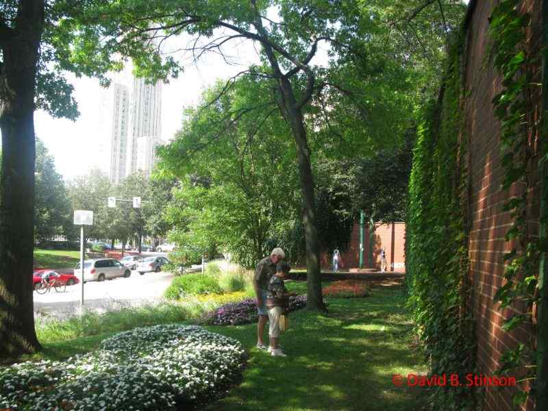 A view of the Forbes Field