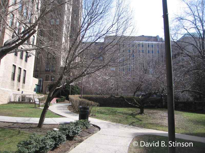 The New York Presbyterian or Columbia Medical Center