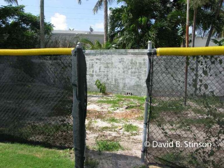 Wickers Stadium In Key West, Florida - Deadball Baseball