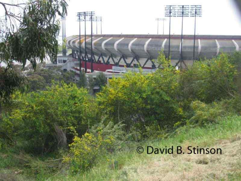 Monster Park stadium from a top a hill