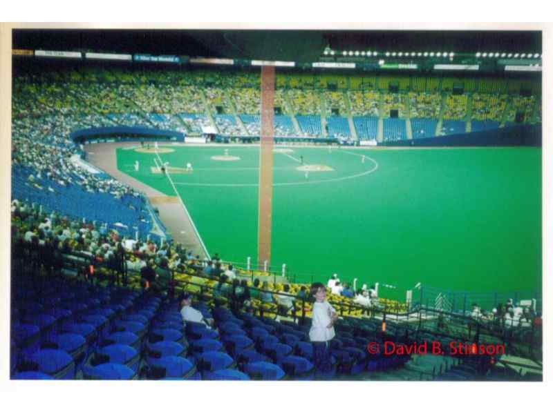 People watching a match in the Stade Olympique