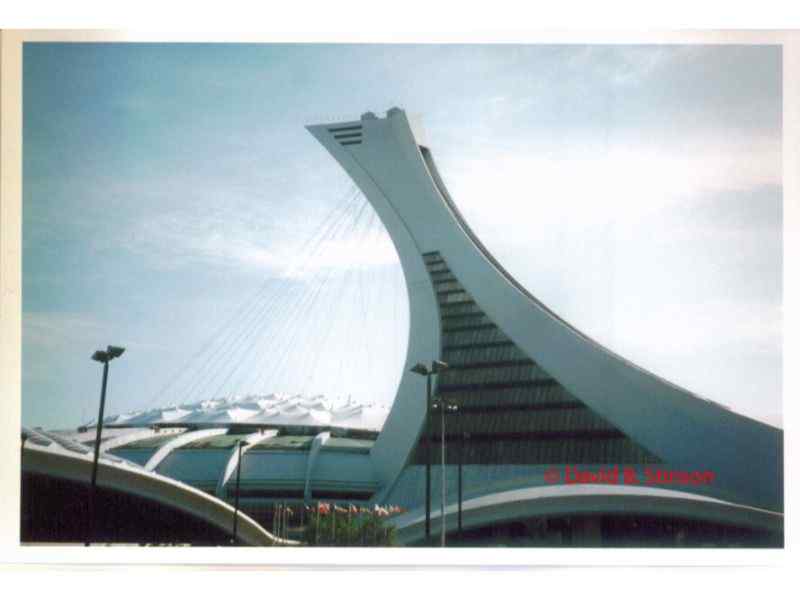 The roof and cabling of the Olympic Stadium